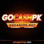 GOCASHPK.GAME app download guide with gaming features, rewards, and online game interface.