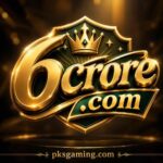 6crore.com informational overview showing platform interface, security features, user guide, and online gaming safety tips