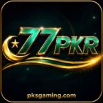 77PKR GAME mobile app informational guide and feature overview