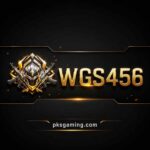 Illustration representing the WGS456 informational guide with account features, online security, and general platform information.