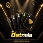 betnala.GAMES APK download latest version for Android complete guide for Pakistan