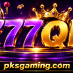 777QR gaming platform guide and features