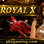 Royal X Casino APK games and payment guide