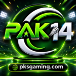 PAK14 Download – Features, Registration, Login & Android Guide