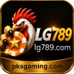 LG789.com mobile gaming platform home screen and gameplay guide 2026