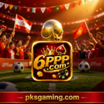 6PPP.com website interface overview with navigation and safety guide