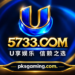 U5733 GAME